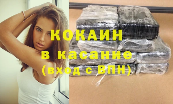 ешки Алексин